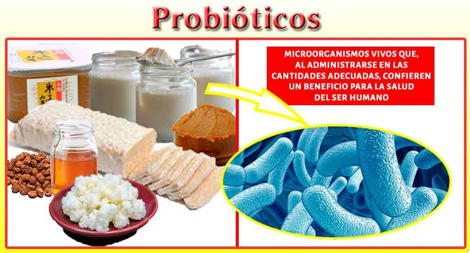 probióticos candidiasis alimentos fermentados